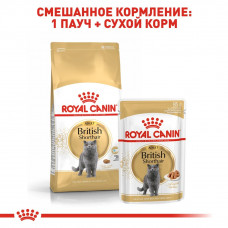 Royal Canin British Shorthair Adult (Рояв Канін Брітіш Шортхайр) корм для кішок британська короткошерсна 10 кг.