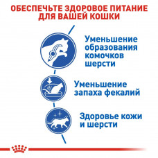 Royal Canin Indoor Long Hair (Рояв Канін Індор Лонгхайр) сухий корм для довгошерстих кішок від 12 місяців 2 кг.