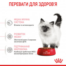 Royal Canin Kitten (Рояв Канін Кіттен) сухий корм для котят під час другої фази росту 10 кілограмів.