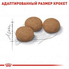 Royal Canin Sterilised Ageing 12+ (Роял Канін Стерелайзд 12+) сухий корм для стерилізованих кішок від 12 років