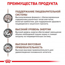 Royal Canin Gastrointestinal (Роял Канін Гастроінтестинал) сухий корм для кішок у разі розладів травлення