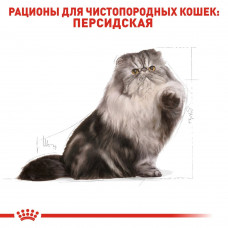 Royal Canin Persian Adult (Рояв Канін Першиан) сухий корм для котів перської породи від 12 місяців 2 кг.
