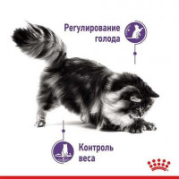 Royal Canin Appetite Control Care (Роял Канін Апетайт Контрол) корм для стерилізованих котів від 12 міс. 3.5 кг.