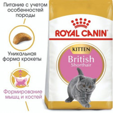 Royal Canin British Shorthair Kitten (Рояв Канін Кіттен британська короткошерсна) сухий корм для котят 10 кг.