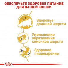 Royal Canin Persian Adult (Рояв Канін Першиан) сухий корм для котів перської породи від 12 місяців 2 кг.