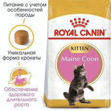 Royal Canin Maine Coon Kitten (Рояв Канін Кіттен кун) сухий корм для котят 2 кг.