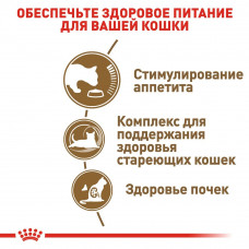 Royal Canin Ageing 12+ (Рояв Канін Ейджінг 12+) сухий корм для старих котів від 12 років 2 кг.