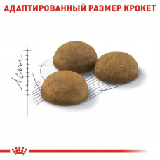 Royal Canin Indoor Long Hair (Рояв Канін Індор Лонгхайр) сухий корм для довгошерстих кішок від 12 місяців 2 кг.