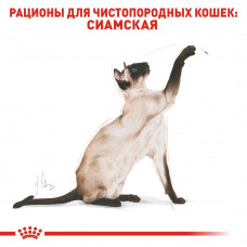 Royal Canin Siamese Adult (Рояв Канін Саямейз Едалт) сухий корм для котів сіамська від 12 місяців 2 кг.