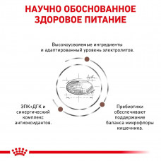 Royal Canin Gastrointestinal Moderate Calorie (Роял Канін Гастроінтестинал Модерет) корм для травлення котів
