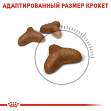 Royal Canin Light Weight Care (Рояв Канін Лайт Кейт Каа) корм для котів схильних до зайвої ваги від 12 місяців 1.5 кг.
