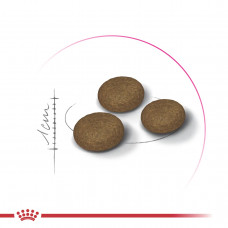 Royal Canin FUSSY Exigent (Ровыш Канин Фасси Эксиджент) сухой корм для котов привередливых в еде от 12 месяцев