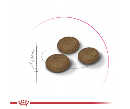 Royal Canin FUSSY Exigent (Ровыш Канин Фасси Эксиджент) сухой корм для котов привередливых в еде от 12 месяцев 4 кг