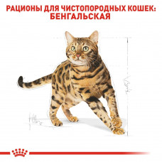 Роуал Canin Bengal Adult (Рояв Канін Бенгал) сухий корм для котів бенгальська від 12 місяців 10 кілограмів.