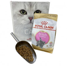 Royal Canin British Shorthair Kitten (Роял Канин Киттен британская короткошерстная) сухой корм для котят 1 кг.