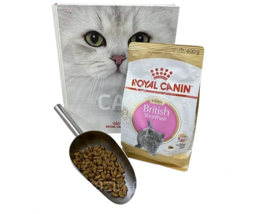 Royal Canin British Shorthair Kitten (Роял Канин Киттен британская короткошерстная) сухой корм для котят 1 кг.