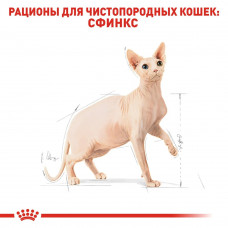 Royal Canin Sphynx Adult (Рояв Канін Сфінкс) сухий корм для котів породи сфінкс від 12 місяців 10 кілограмів.