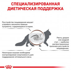 Royal Canin Gastrointestinal Moderate Calorie (Роял Канін Гастроінтестинал Модерет) корм для травлення котів
