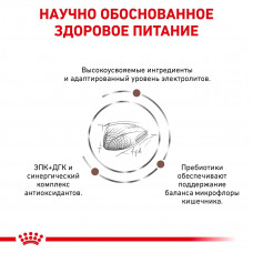 Royal Canin Gastrointestinal (Роял Канін Гастроінтестинал) сухий корм для кішок у разі розладів травлення