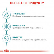 Royal Canin Ageing 11+ (Роял Канин Эйджинг 11+) сухой корм для стареющих кошек старше 11 лет