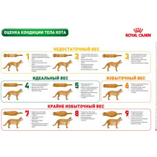 Royal Canin Senior Consult Stage 1 (Рояв Канін Сеніор Консалт Стейдж 1) сухий корм для кішок від 7 років 1.5 кг.