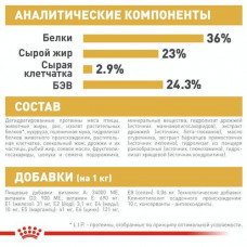 Royal Canin Maine Coon Kitten (Рояв Канін Кіттен кун) сухий корм для котят 2 кг.