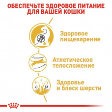 Роуал Canin Bengal Adult (Рояв Канін Бенгал) сухий корм для котів бенгальська від 12 місяців 10 кілограмів.