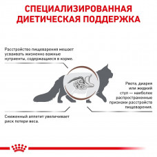 Royal Canin Gastrointestinal (Роял Канін Гастроінтестинал) сухий корм для кішок у разі розладів травлення