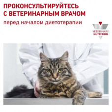 Royal Canin Gastrointestinal Fibre Response (Роял Канін Гастроінтестинал Файбер Респонс) для кішок у разі закрепів
