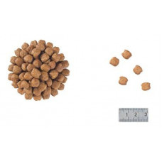 Royal Canin Senior Consult Stage 2 (Роял Канін Сеніор Консалт Стейдж 2) сухий корм для кішок від 7 років