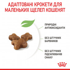 Royal Canin Kitten (Рояв Канін Кіттен) сухий корм для котят під час другої фази росту 10 кілограмів.