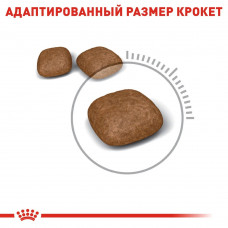 Royal Canin Urinary Care (Рояв Канін Урінарі Кер) сухий корм для котів для сечеробної системи від 12 міс 10 кілограмів.