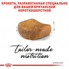 Royal Canin British Shorthair Adult (Рояв Канін Брітіш Шортхайр) корм для кішок британська короткошерсна 10 кг.