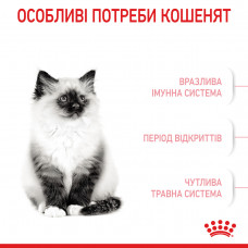 Royal Canin Kitten (Рояв Канін Кіттен) сухий корм для котят під час другої фази росту 10 кілограмів.