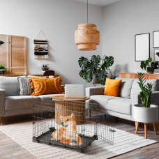 Клетка для собак и щенков Ferplast Dog Zone (Ферпласт Дог Зона) 52.5х76.5х52 см - 75