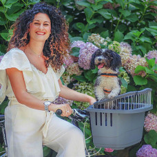 Переноска для кріплення на велосипед Ferplast Atlas Bike 10 Rapid (Ферпласт Атлас Байк 10 Рапід)