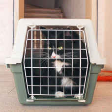 Контейнер перенесення собак і котів Ferplast Atlas EL (Ферпласт Атлас ЕЛ) 32,5 x 48 x 29 cm - ATLAS 10 EL, Сірий