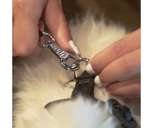 Сумка - переноска для собак и котов Ferplast With-Me (Ферпласт) до 8 кг