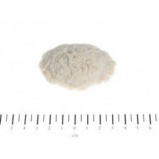 Caninin Flexan (Каніна Флексан) комплекс для підтримки опорно-сумісного апарата для цуценят і собак 150 р.