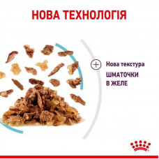 Royal Canin Sensory Feel Jelly (Роял Канін Сенсорі в желе) вологий корм для перебиральних котів 85 г х 12 шт.