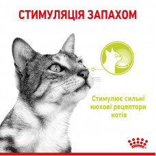Royal Canin Sensory Smell Gravy (Роял Канін Сенсорі шматочки) вологий корм для перебиральних кішок 85 г х 12 шт 85 г х 12 шт.