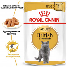 Royal Canin British Shorthair (Роял Канін Брітіш Шортхейр) вологий корм для кішок британська короткошерста 0.085 кг. х 12 шт.