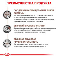 Royal Canin Gastrointestinal (Роял Канін Гастро Інтестинал) вологий корм для кішок для системи травлення 0.085 кг. х 12 шт.