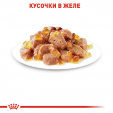 Royal Canin Instinctive Jelly (Роял Канін Інстинктив желе) вологий корм для дорослих кішок від 12 місяців 0.085 кг. х 12 шт.