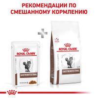 Royal Canin Gastrointestinal (Роял Канін Гастро Інтестинал) вологий корм для кішок для системи травлення 0.085 кг. х 12 шт.