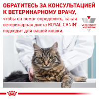 Royal Canin Gastrointestinal (Роял Канін Гастро Інтестинал) вологий корм для кішок для системи травлення 0.085 кг. х 12 шт.