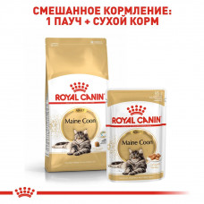 Royal Canin Maine Coon (Роял Канін Мейн Кун Едалт) вологий корм для кішок мейн-кун 85 г х 12 шт.