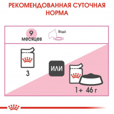 Royal Canin Kitten Sterilised Gravy (Рояв Канін Кіттен Стерелейз соус) вологий корм для стерильних котят 0.85 кг.