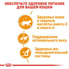 Royal Canin Intense Beauty Gravy (Роял Канін Інтенс Б'юті) вологий корм для кішок для шкіри та шерсті 85 г х 12 шт.