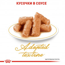 Royal Canin British Shorthair (Роял Канін Брітіш Шортхейр) вологий корм для кішок британська короткошерста 0.085 кг. х 12 шт.